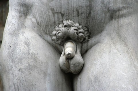 davids-penis