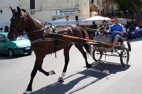 travel-by-horse