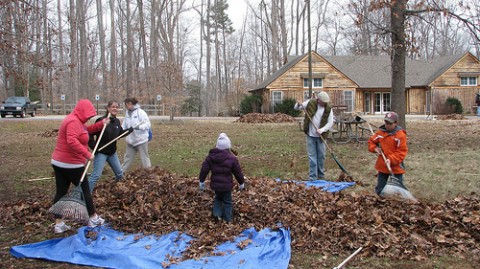 Volunteering